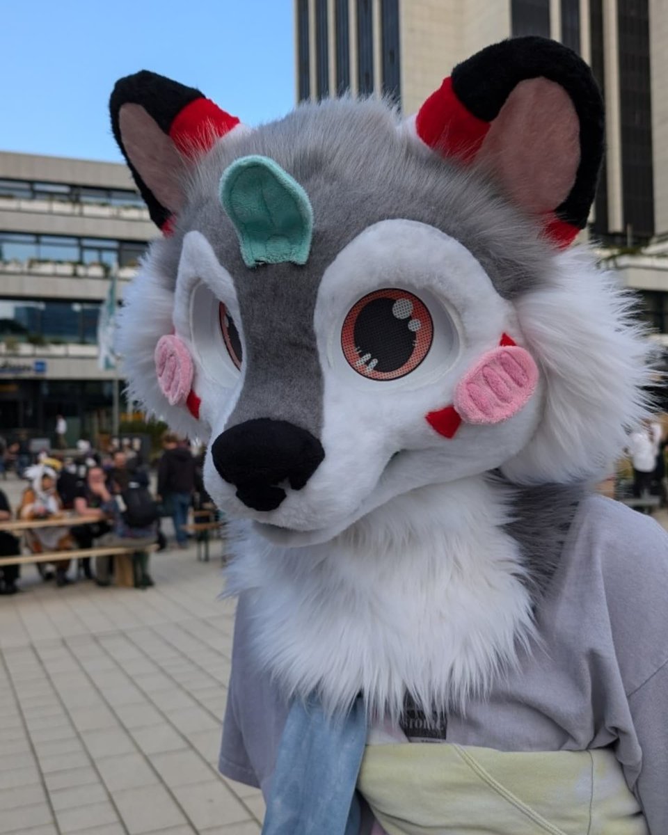 мıпт 🌱 tweet media