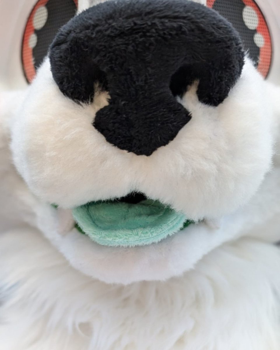 мıпт 🌱 tweet media