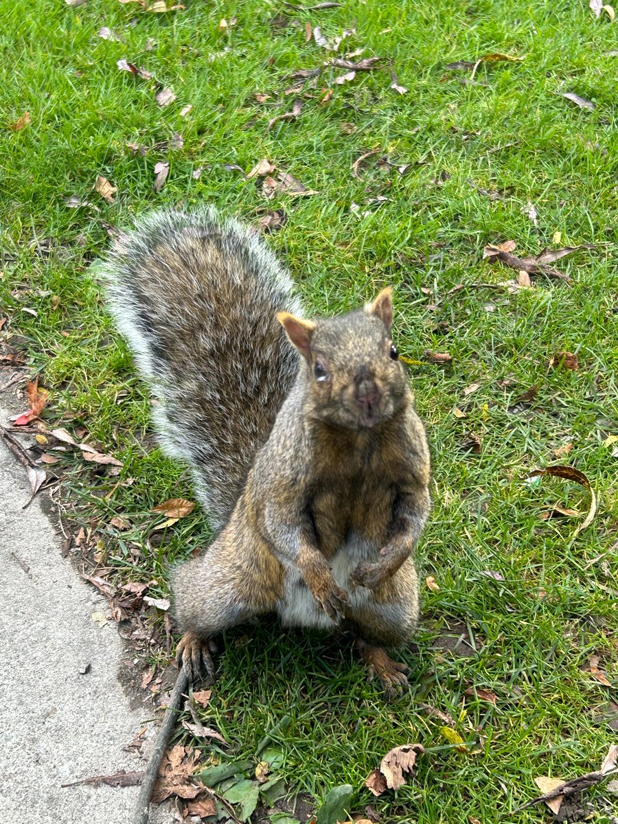 InvestChildren's tweet image. The Investing in Children team had an amazing time helping to make London shine with another #ParkCleanUp! 

We picked up trash at Gibbons Park and Saturn Playground as part of the Adopt-a-Park Program. Plus, we had the cutest little helper! (Last picture)

 @CityofLdnOnt