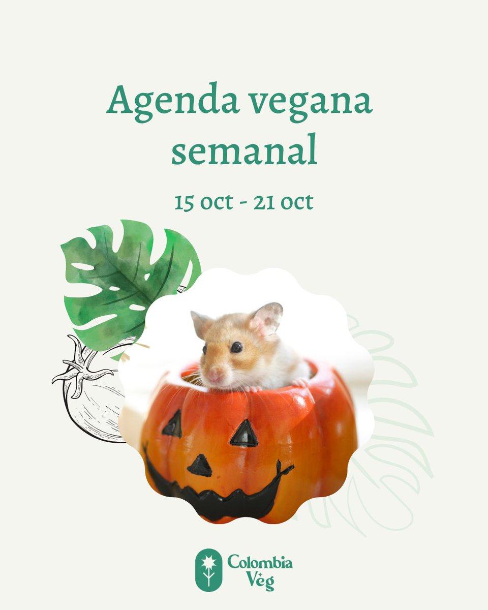 🌱 ¡Ya llegamos a la mitad de octubre! 🧟‍♀️🎃

😱 Prográmate antes de que se acabe 👇
instagram.com/p/DBKhpuDBny8/…

#Colombia #ColombiaVeg #AgendaVeganaSemanal