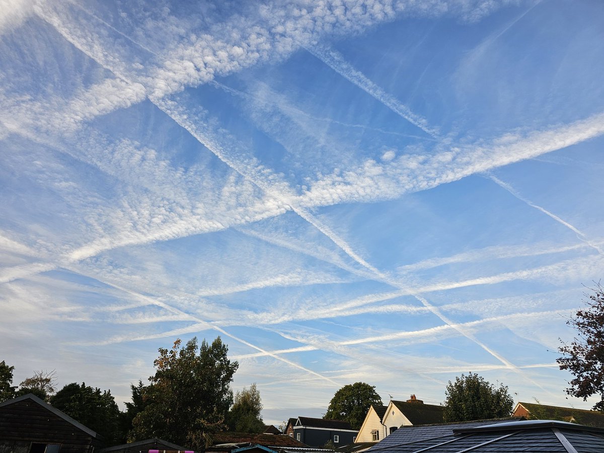 Real_Fat_Shady's tweet image. 7am last Sunday, Kent!

Almost perfect grids!