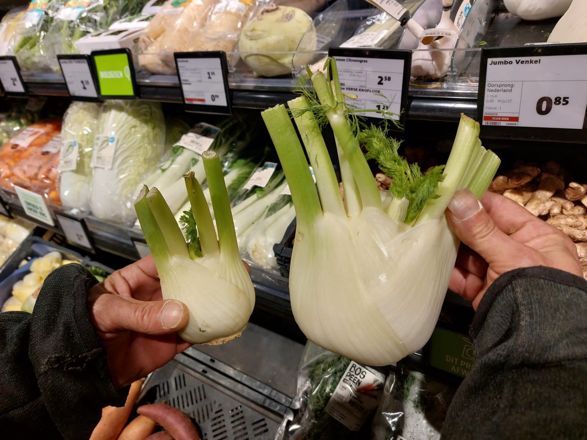 FritsvanLaar's tweet photo. #Venkel. € 0,85 per stuk.

Tsja, dan zijn we toch #Hollanders hè?

#Jumbo https://t.co/GXKLqhOBhc