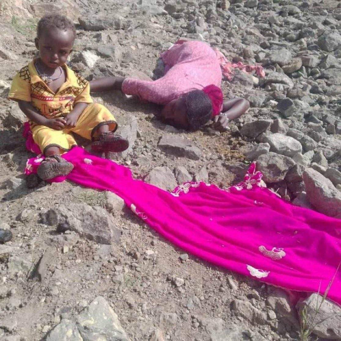 Fasil Yitbarek tweet media