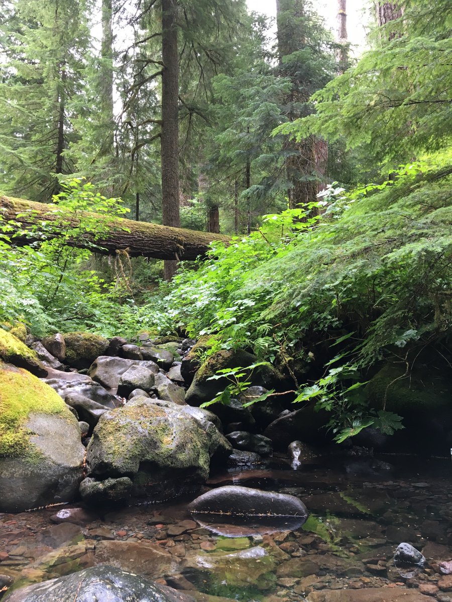 @fieldgenomics.bsky.social tweet media