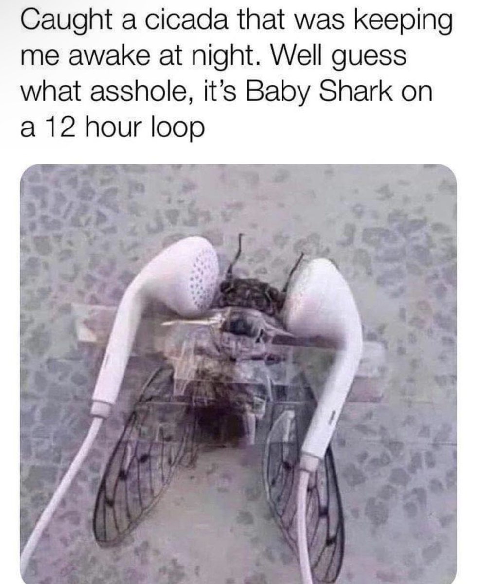 😭 😭