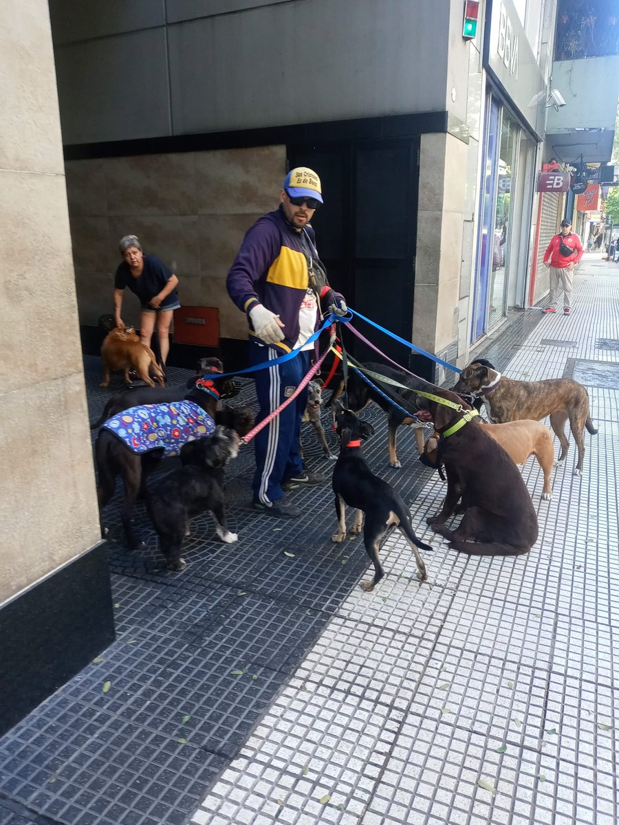 POR FAVOR RT MUCHAS GRACIAS 
Hoy a las 9 de la mañana en Avenida Entre Ríos y Belgrano este sujeto cobarde camuflado tras de su anteojos y su gorra maltratar al perrito de color beige lo aorcaba y le pegaba puñetazos en el hocico
No dejen en manos de cualquiera sus peluditos.