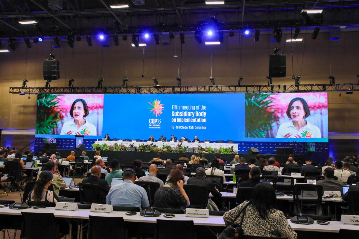 #SBI5 delegates address #KMGBF implementation National targets ...