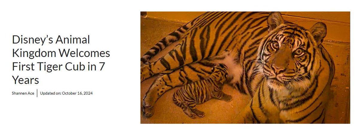 If youre telling me the first tiger cub at Disneys Animal Kingdom in 7 years doesn't A. go viral and B. atleast do $20M mcap but a stupid AI girl does you got me fucked up

Send $BAKSO higher