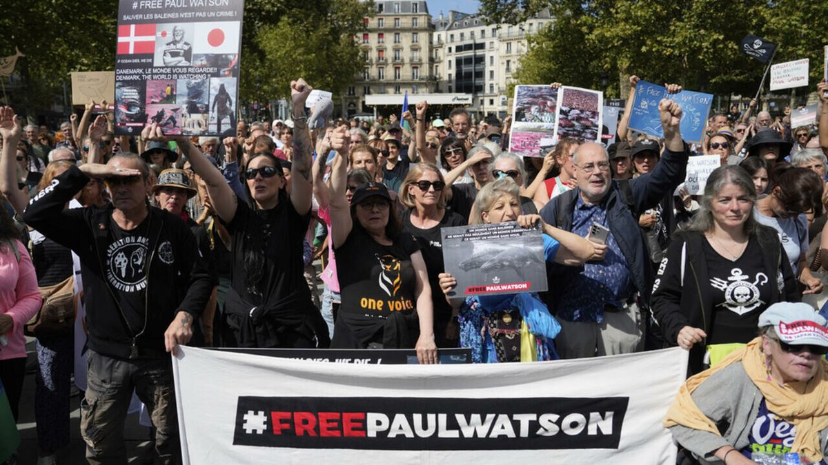 Anti-whaling activist Paul Watson asks France's Macron for political asylum
➡️ go.france24.com/0DX