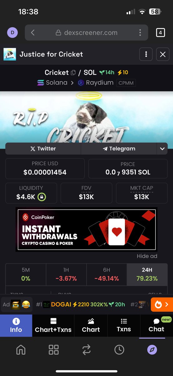 cyril046 bunnz 🩸🐻⛓️🥕🥕🐰 tweet media