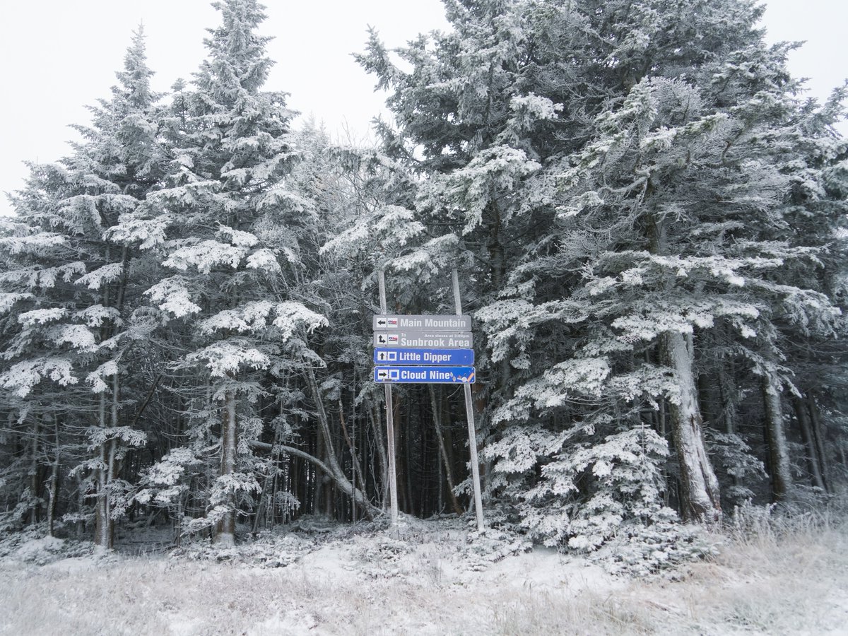 Mount Snow tweet media