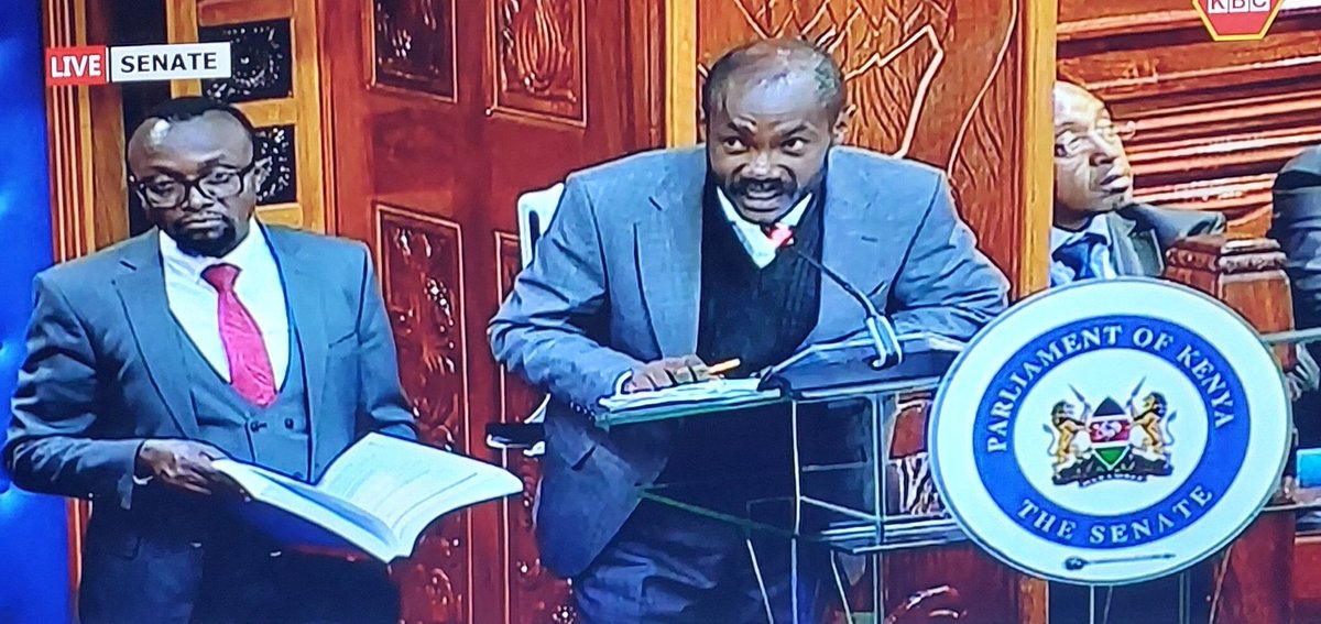 Lewismallz's tweet image. Let me take you to the Vipigo beach because it seems that's where you get excited at😂 🌡️🤒 #DeputyPresident