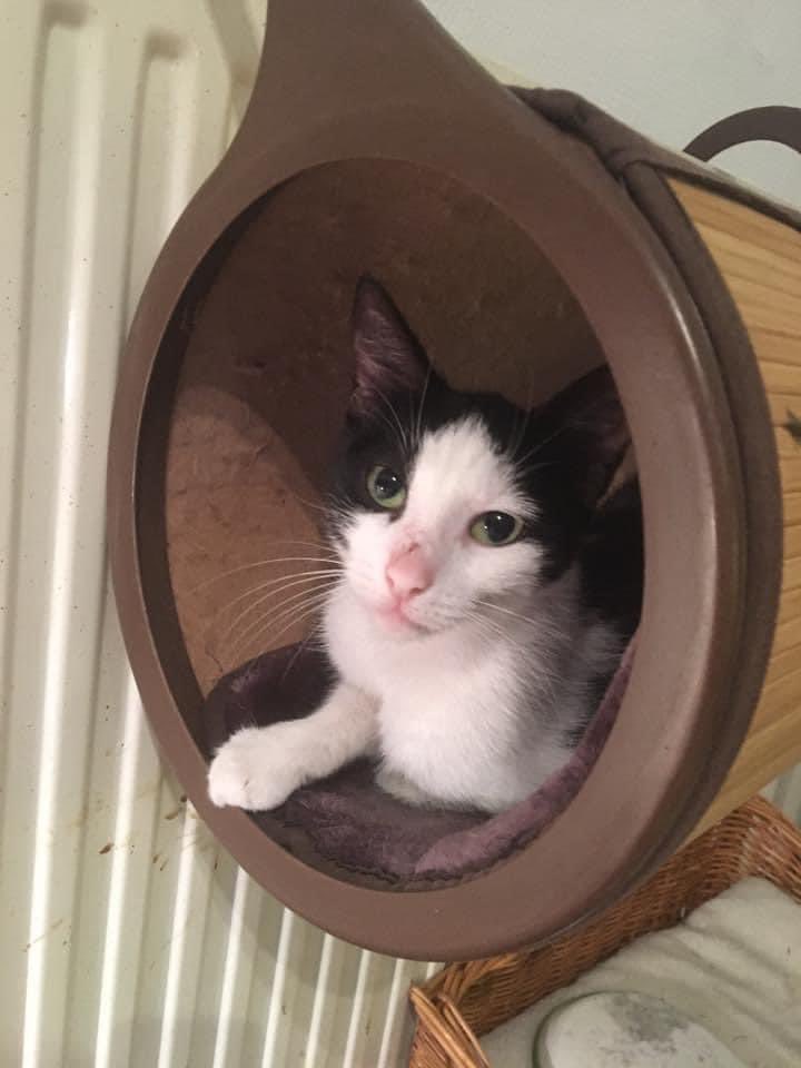 Marnix Bruinzeel tweet media