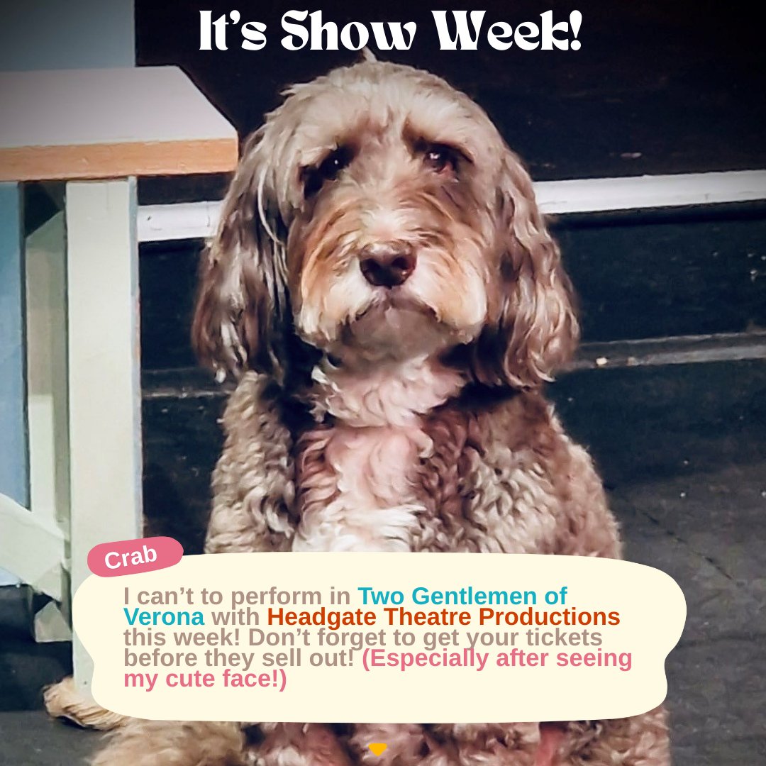 It's opening night of Two Gentlemen of Verona and one of our lovely actors playing Crab has something to say! 🐶

📅 Wed 16th October 2024 - Sat 19th October 2024
📞 Box Office: 01206 366000
🎟 Book Online: bit.ly/HTPVerona

How can you say no to this face?