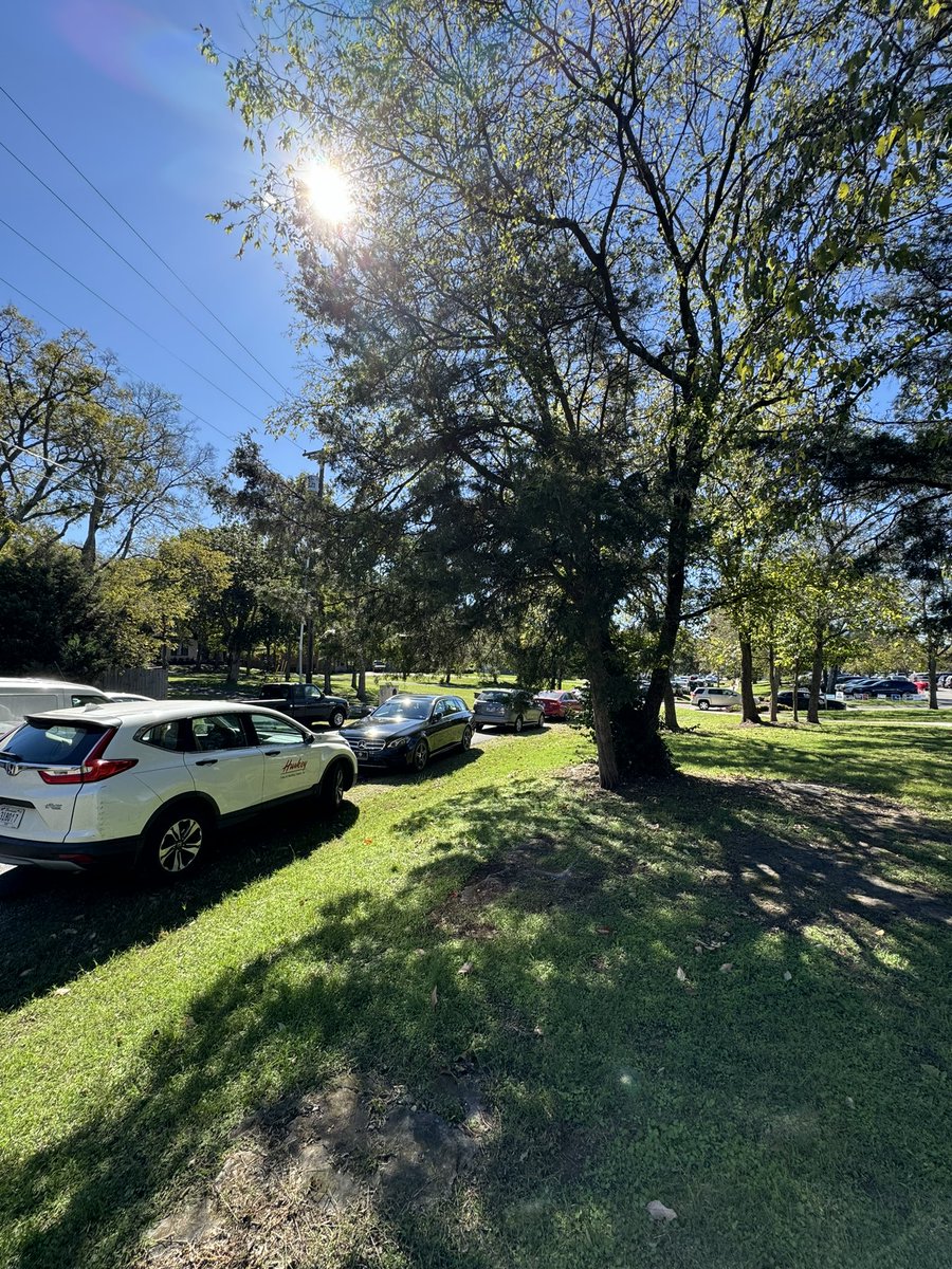 Today’s the first day of early voting in Tennessee, and the Green Hills polling place in Nashville is PACKED — people have taken to parking off the main road.