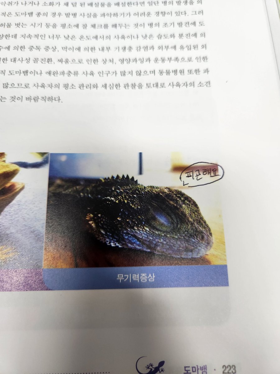 I'm 피곤이에요.