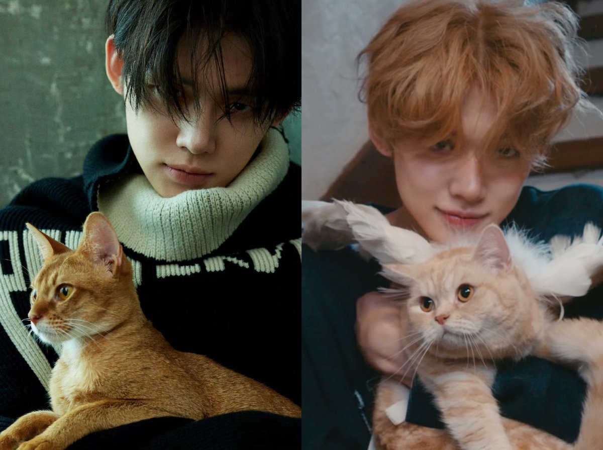 zzzwhiip413's tweet photo. 😽 https://t.co/v0b9u1mOqh