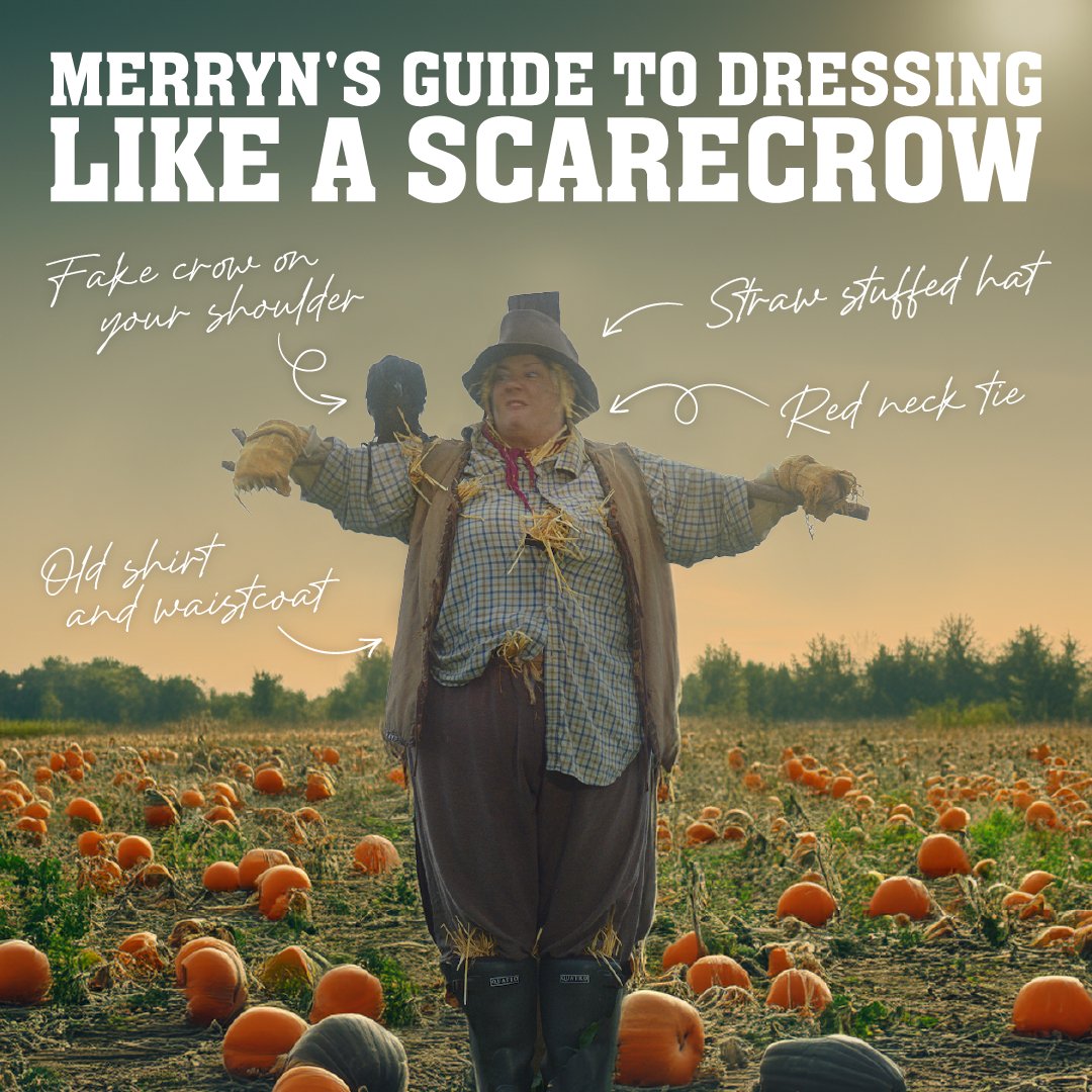 There’s only one costume for Halloween this year: Scarecrow👩‍🌾​

Befriending a real life crow: Optional 😉