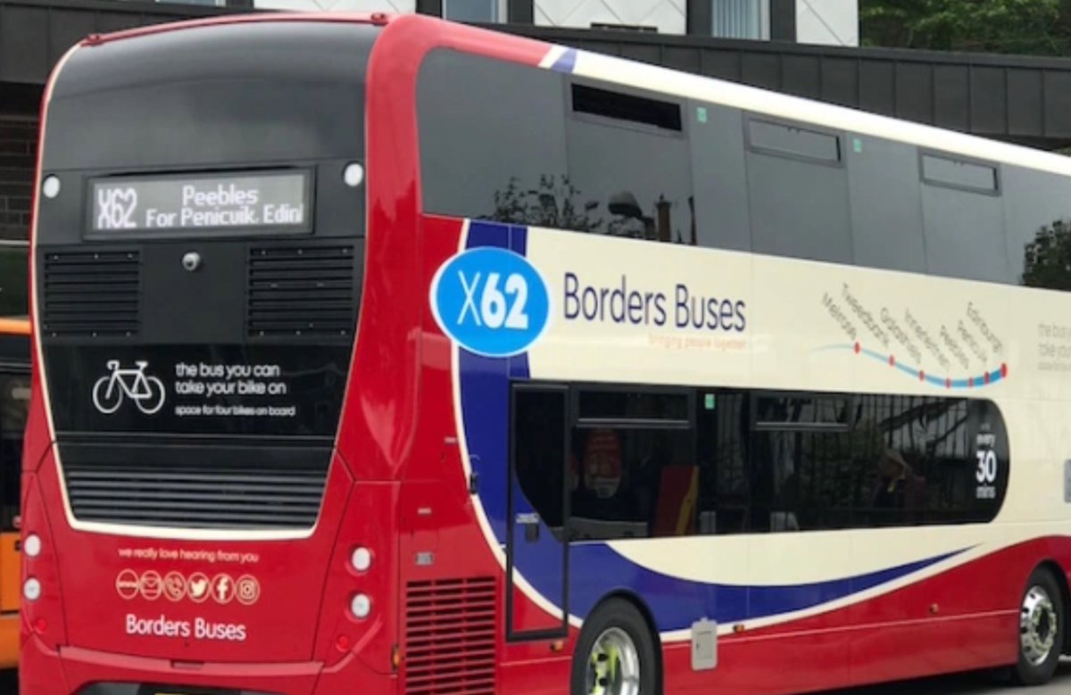 Ali Wilson tweet media