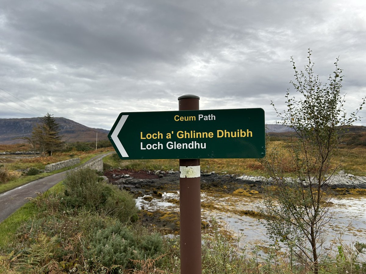 Ali Wilson tweet media