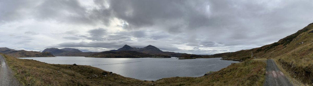 Ali Wilson tweet media