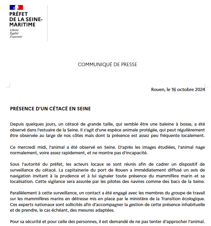 Présence d'un cétacé en Seine 🐳

Ce mercredi, une baleine à bosse a été observée en Seine. L'animal semble nager normalement.
Un dispositif de surveillance a été mis en place.

Pour la sécurité du mammifère et pour celle des personnes, il est demandé de ne pas tenter de