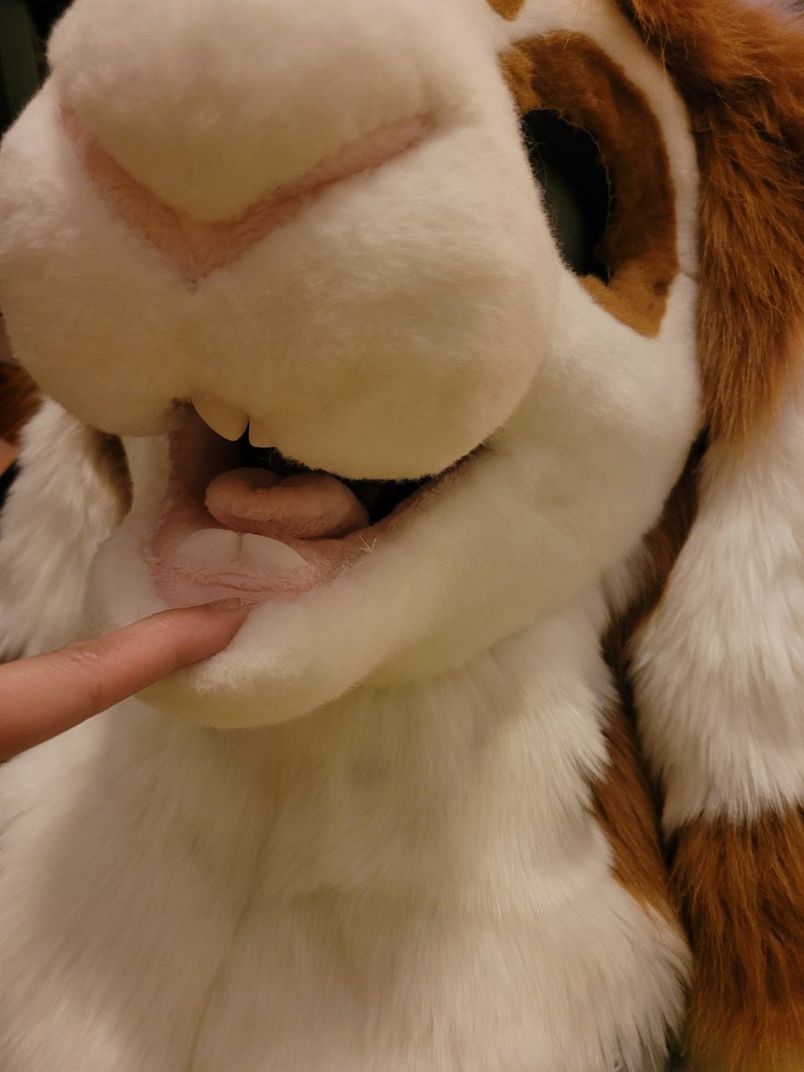 Roosterplume's tweet photo. Wip on this suit for @snazzyvaka444 🐰 https://t.co/iz1yfHXeG9