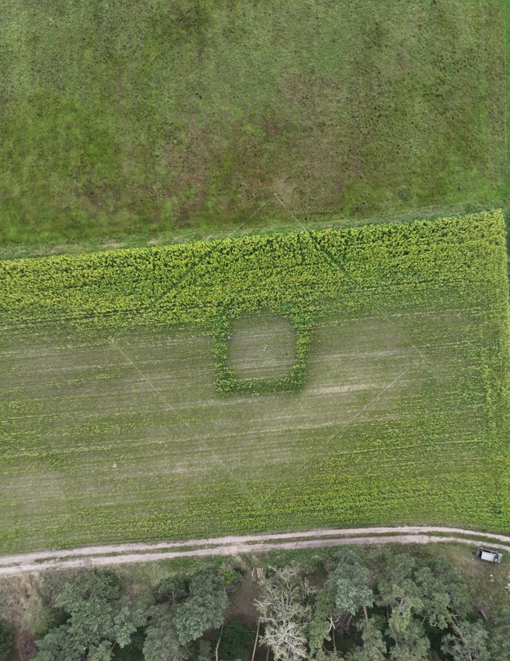 nondestructiv tweet media