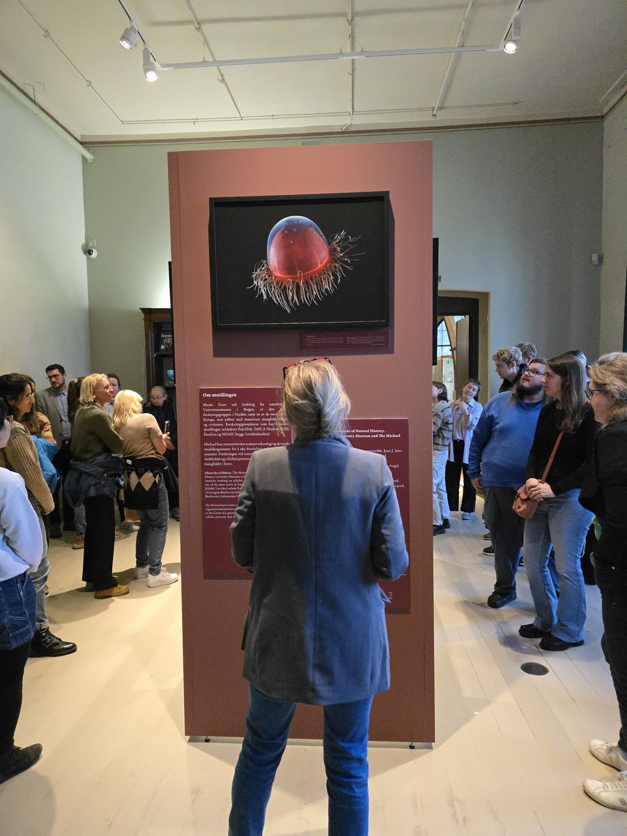 Pawel Burkhardt tweet media