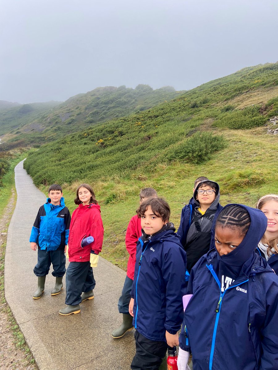 Alexandra Primary School tweet media