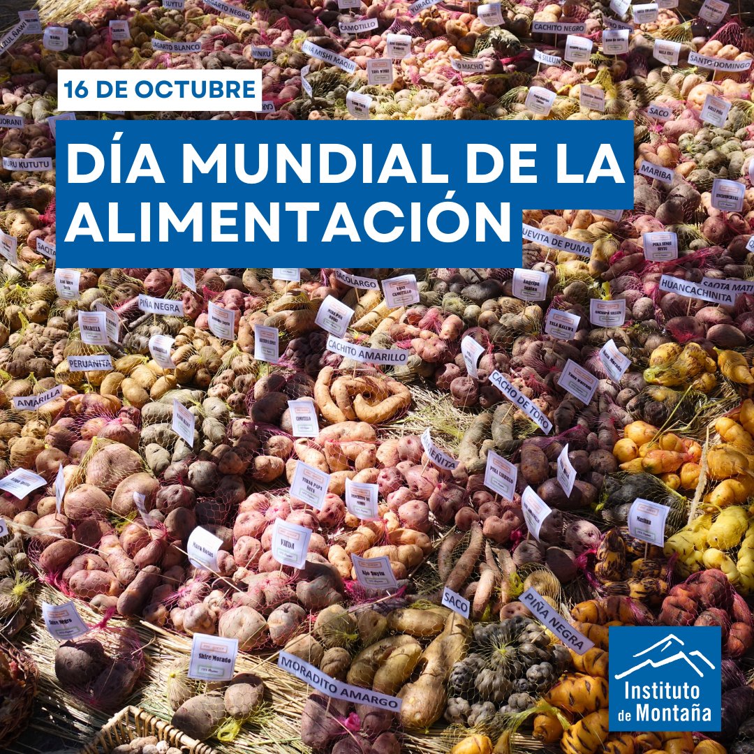🌽 En el Día Mundial de la Alimentación, celebramos a las mujeres y hombres agricultores, guardianes de la biodiversidad y líderes en la seguridad alimentaria 🌎. ¡Su trabajo es clave para un futuro sostenible!