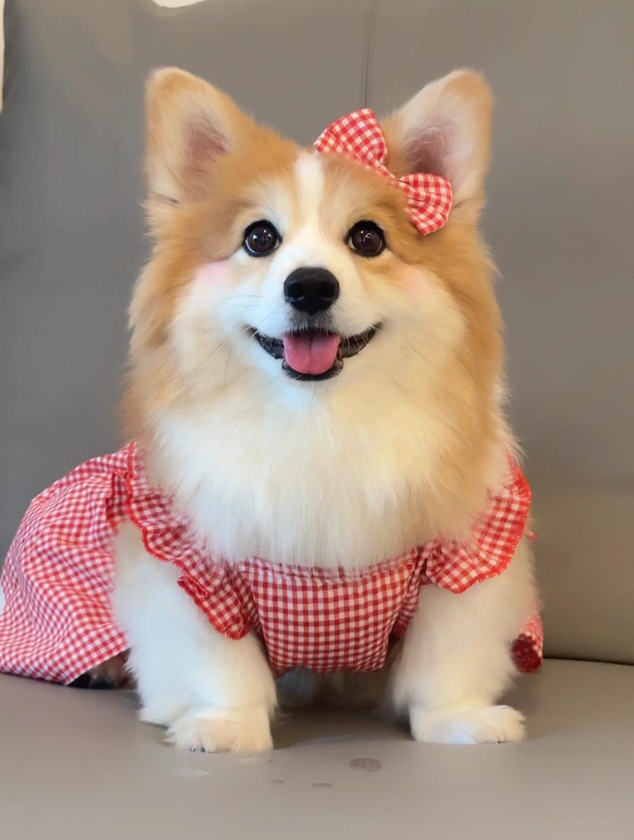 Every great achievement starts from a small beginning. No matter what your current situation is, don't underestimate yourself. As long as you take the first step bravely, you are already moving forward.