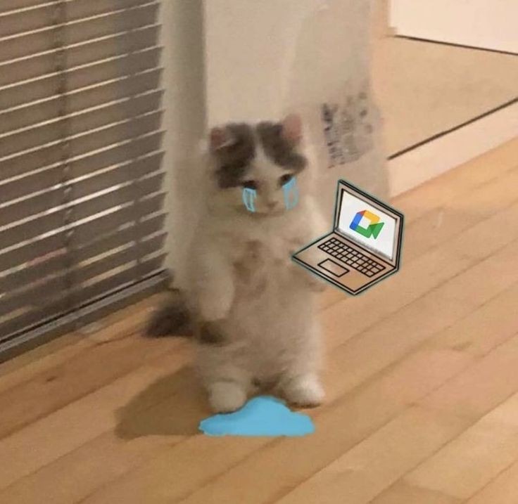 catfurude's tweet photo. Por primera vez desde que soy supervisora quiero salir corriendo y no volver diosmio 😭 https://t.co/zMBWQwCrb4