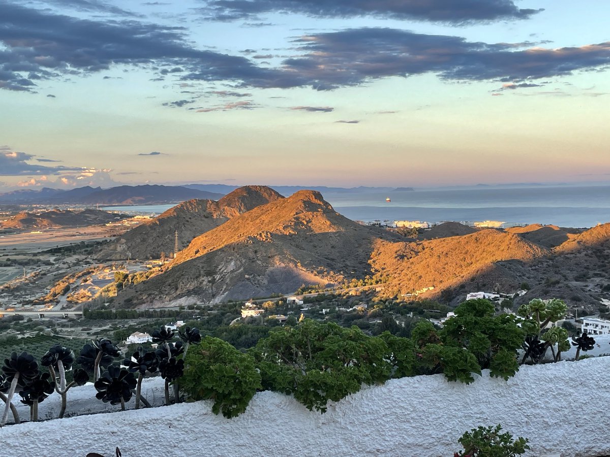 Rooftopvegplot's tweet image. Late night blast of sun before sunset.