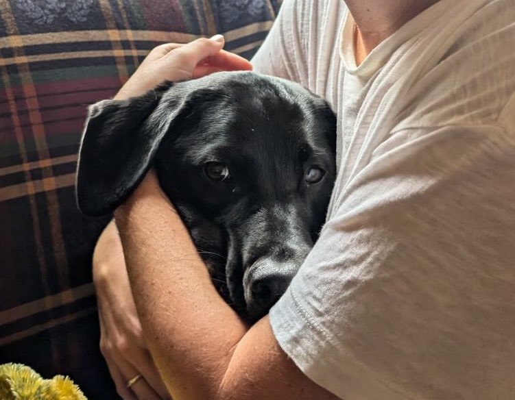 MAD Pritch 🌹 tweet media