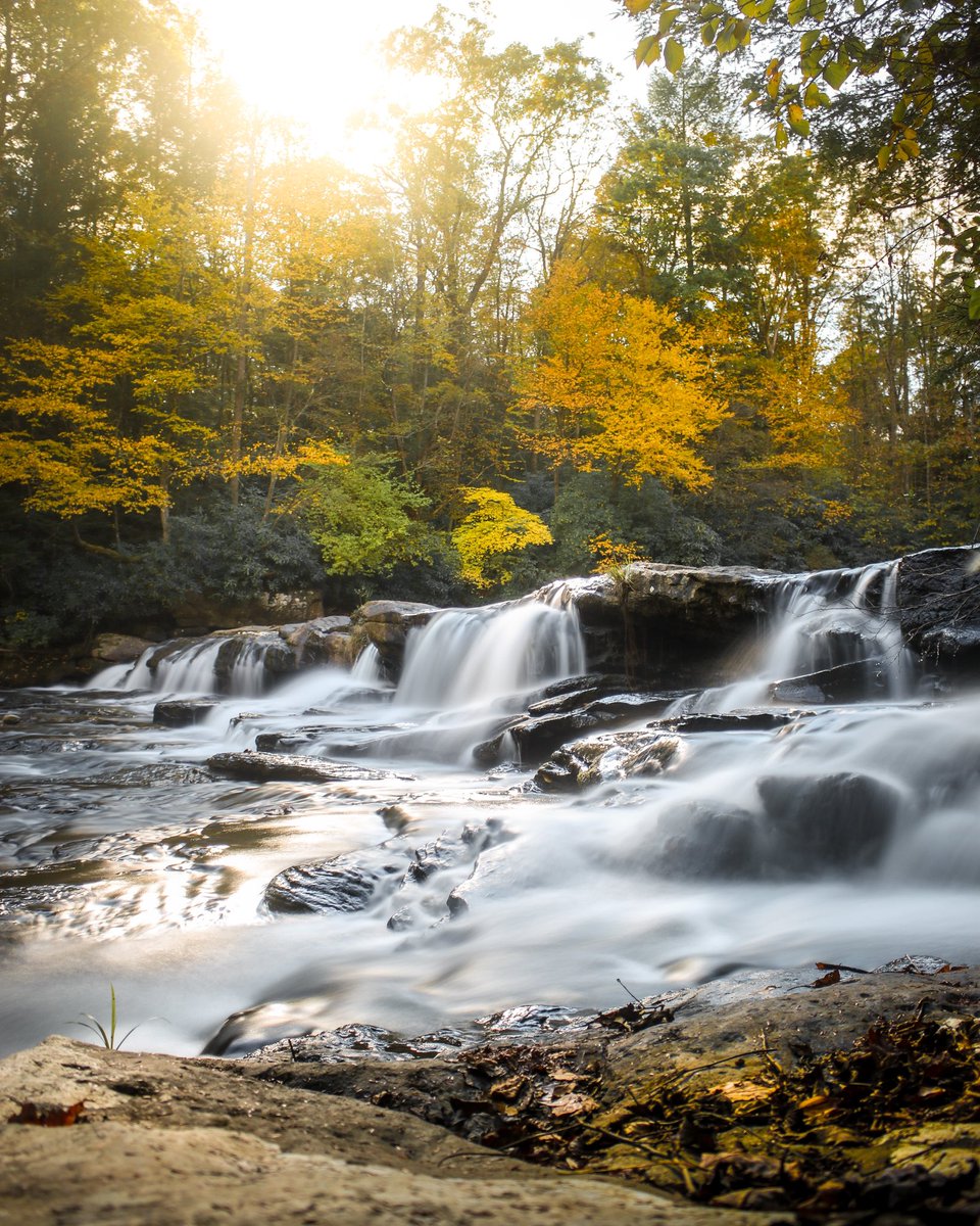 SentientChalupa's tweet photo. Had a nice morning hike that had me feeling autumnal as hell, so I’m just resharing a few of my favorite fall shots from years past🍁 https://t.co/b39wX9HXHx