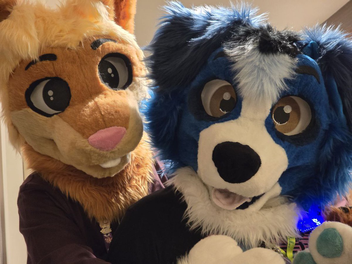 dogonarock.bsky.social (Sonoma) tweet media