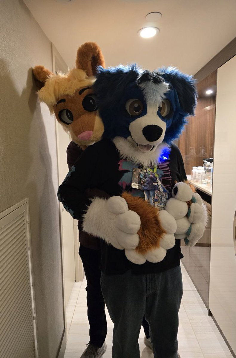 dogonarock.bsky.social (Sonoma) tweet media