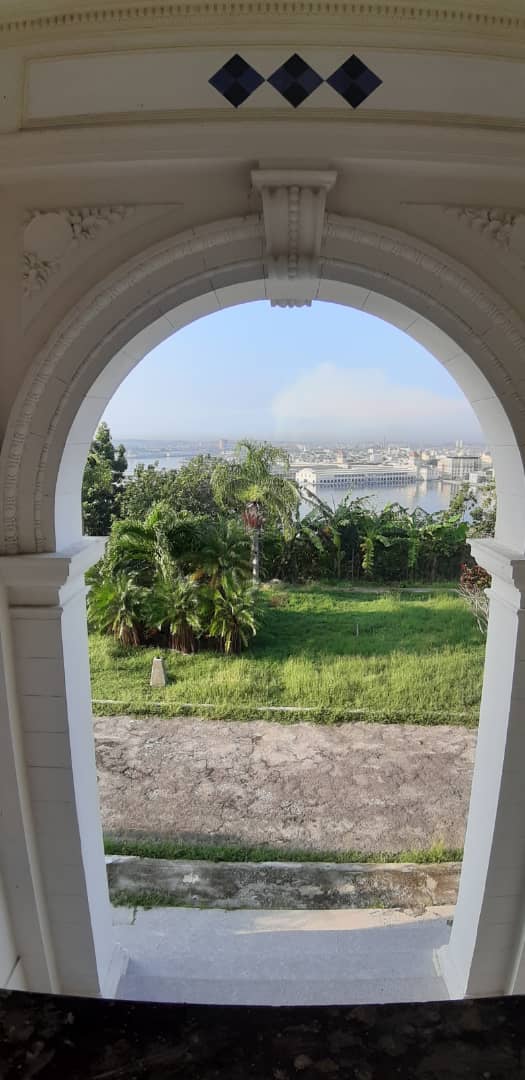 Adianez Fernández Bermúdez tweet media