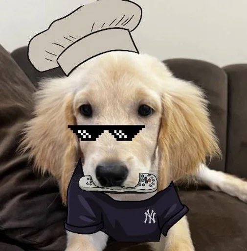 berryofsol's tweet photo. @wallstreetbets $BERRY is the future 🐶 https://t.co/r0ULswh0Cw