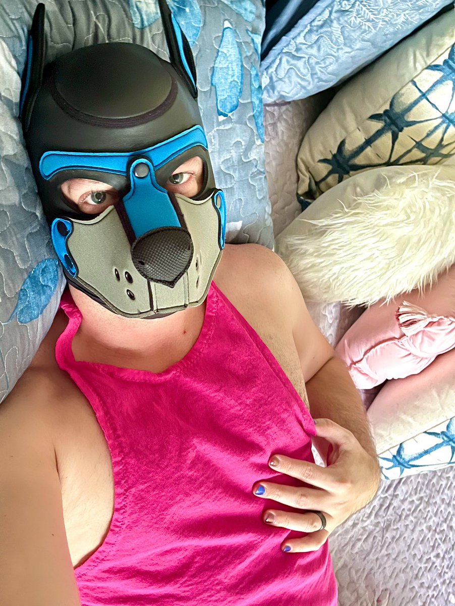 Pup Roger tweet media