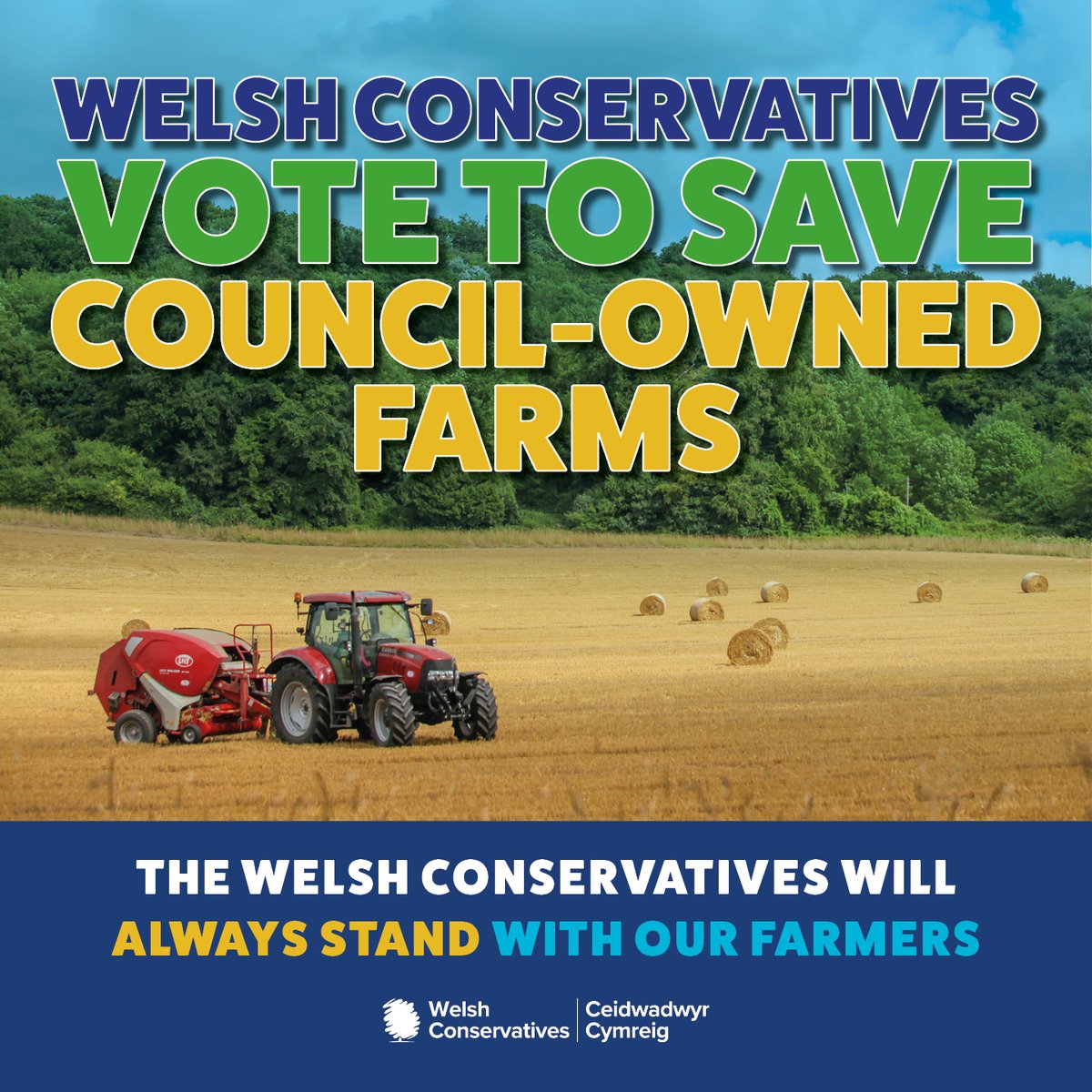Welsh Conservatives in the Senedd tweet media