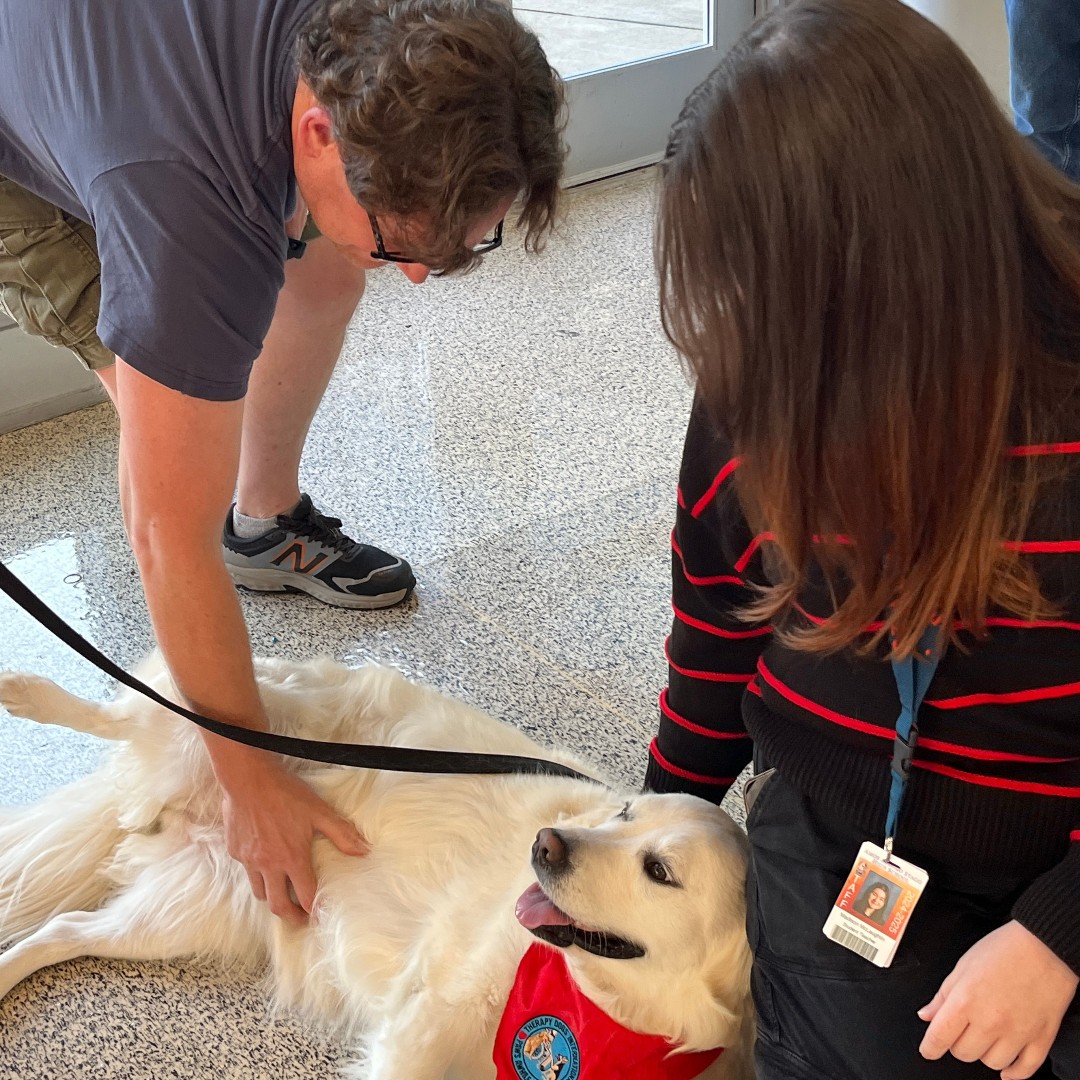 District 230 tweet media