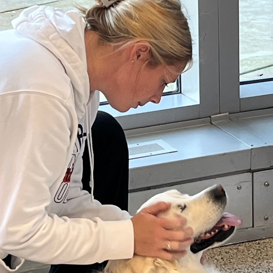 District 230 tweet media