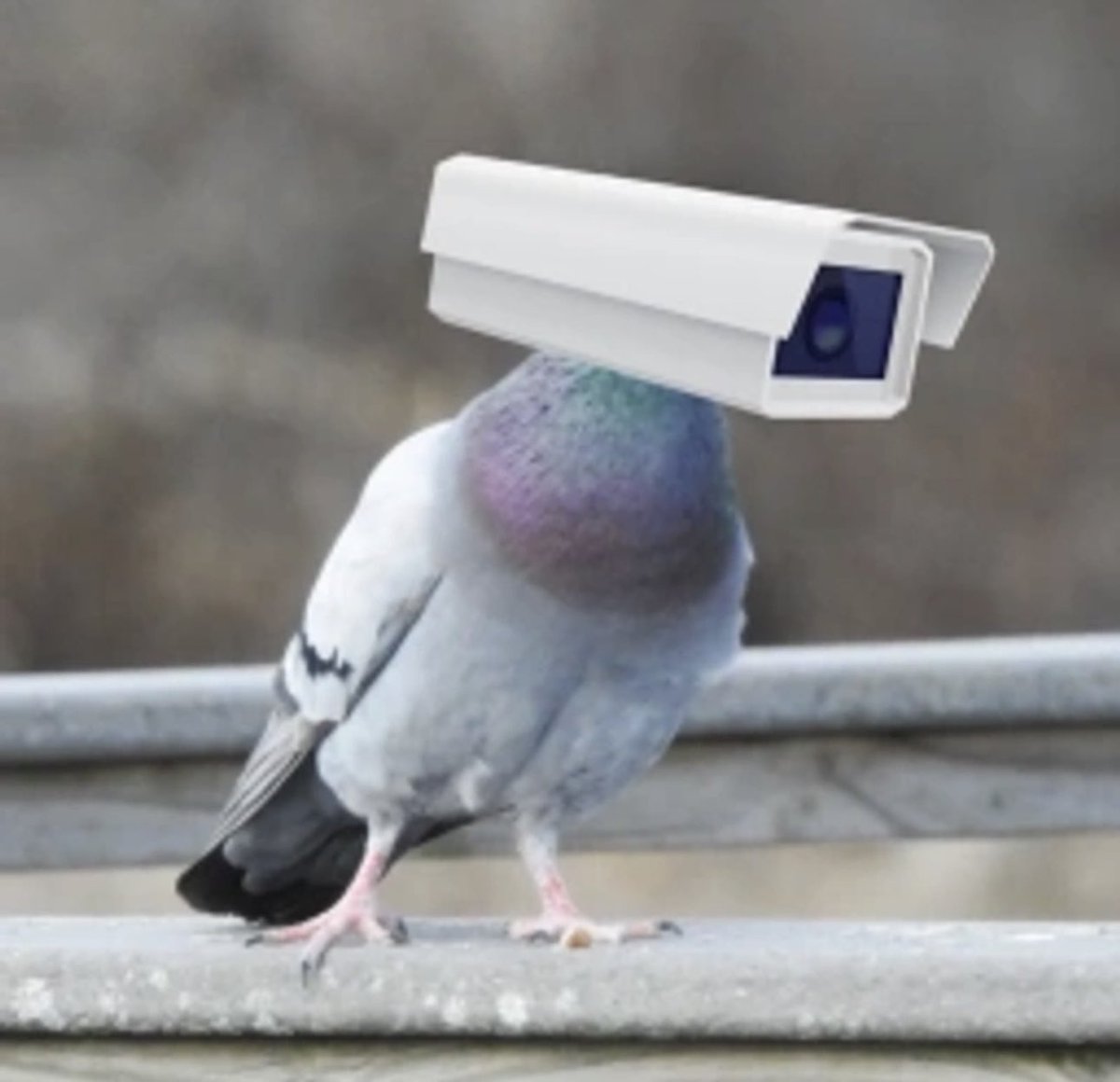 DARTH_FADORR tweet media