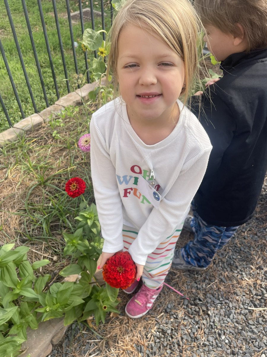 MrsWolfRTGG's tweet photo. Garden Day at @Stewart_Creek has been full of seed planting, sprout identification and smelling herbs! @readygrowgarden @MontgomeryISD @lsutiffanym #readytogrow #october #wednesdayfeelings #coolfront https://t.co/jFuQZf1FXj