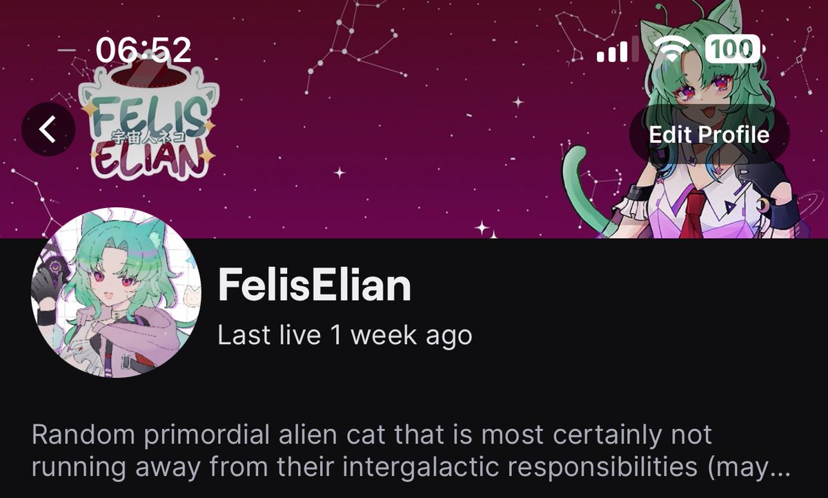Elian Felis 👽🐱 宇宙人ネコ tweet media