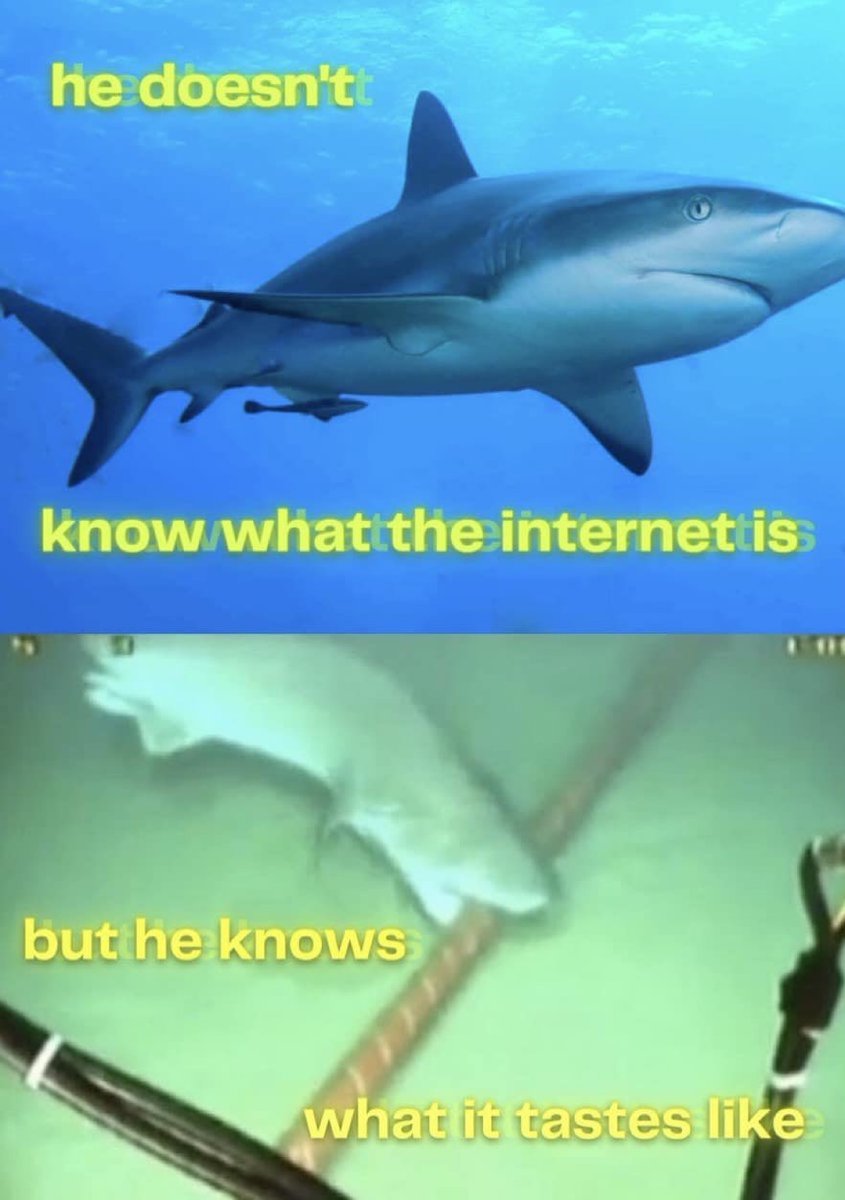 nocontextmemes's tweet photo. 💀 https://t.co/SjK69E7Q2i