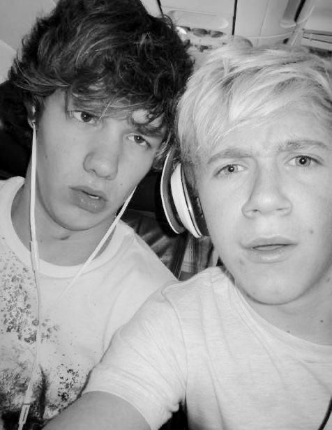 Niall Horan Brasil tweet media