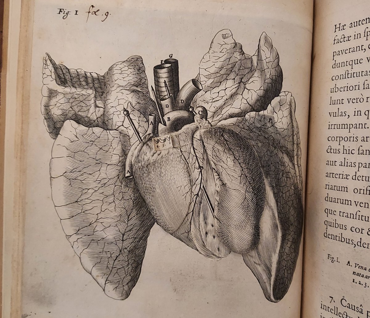 CardiacCellPhys tweet media